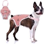 Taille: s dog diaper culotte sanitaire avec suspension, pantalon physiologique pour animaux de compagnie, ...