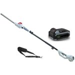 Taille haie sur perche t�lescopique 40v - lame de 43cm - batterie lithium 2, 5ah + chargeur led 40v - ...