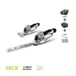 Taille herbe et haie lame 200 mm egopower pack batterie et chargeur 2 ah ego power cht2001e