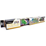 Tapis course cycliste + 3 velos norev novt23300