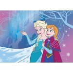 Tapis - let it go - la reine des neiges disney 95x133cm