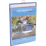 Liderpapel - tarifold, pochette prot�ge - documents, lot de 5, pour 150