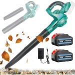 Souffleur de feuilles sans fil puissant avec 2 batteries de 5. 5a, tubes  pour l'entretien de la pelouse ...