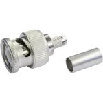 Telegrtner 100027488 100027488 connecteur bnc mle, droit 75 ? 1 pc(s) v076341