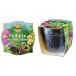 Terreau pour orchid�es avec pot 0, 65 l