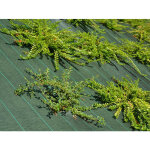 Maillestore - toile de paillage - vert - 130gr / m� - pli� pli�s en 4 2. 10m x 100m vert