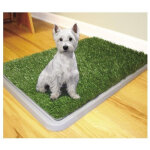 Toilettes pour chiens, liti�re lavable, 3 couches, pour animaux, 43 x 68 cm