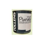 Tollens - peinture acrylique multi - usages 'couleur plurielle' satin sereine 0, 5 l