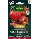 Tomate gourmandia hf1 - graines d'exception vilmorin