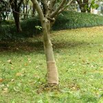 Rouleau de jute 0, 25x5 m 100 % jute 200 g / m