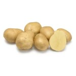 Tr�sor 100 plants de pomme de terre