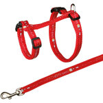 Trixie - harnais xxl avec laisse pour grand chat 34 - 57 cm / 13 mm couleur alatoire