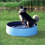 Trixie - piscine pour chien d�signation : piscine 80 x 20 cm 39481