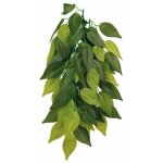 Plante tissu � suspendre, ficus - � 20 � 50 cm. trixie
