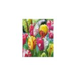 Tulipes perroquet melange - 20 bulbes tulipes Tulipes perroquet melange - 20 bulbes tulipes