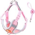 Ugreat - harnais pour chien - harnais de gilet rglable, gilet souple rflchissant, laisses - pour chats ...