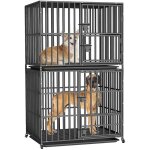 Bingopaw - cage chien double solide caisse de transport sur roulette pour grand chiens en m�tal avec ...