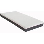 Vente - unique - matelas de relaxation 80 x 200 cm m�moire de forme �p. 18cm - epione de dreamea