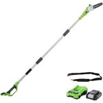 Unit� de scie � perche greenworks g24ps20k2 24 v 1x2 0 ah accu.