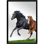 Miroir � suspendre cheval
