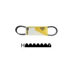 Universel - courroie poly - v 1975 h7 - 1975h7