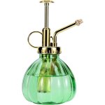 Ersandy - vaporisateur de plantes en verre, vaporisateur d'eau en verre vert de 16, 5 cm avec pompe suprieure ...