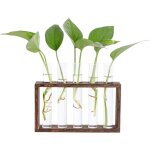 Vase en verre de tube à essai avec support en bois pour plantes hydroponiques tube vase vintage Vase en verre de tube à essai avec support en bois pour plantes hydroponiques tube vase vintage