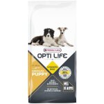 Croquettes opti life chiot medium poulet : 12. 5kg