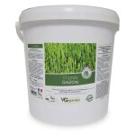 Engrais - 5kg - gazon naturel - vg garden