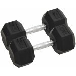 Haltres 2 pcs 20 kg total fonte vidaxl