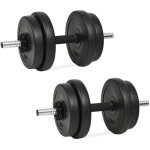 Halt�re avec plaques 40 kg vidaxl839435