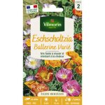 Eschscholtzia de californie ballerine varié vilmorin Eschscholtzia de californie ballerine varié vilmorin