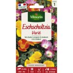 Eschscholtzia de californie varié vilmorin Eschscholtzia de californie varié vilmorin