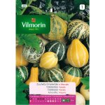 Graines de diffrentes fleurs de courgettes s - 1, 3 gr - vilmorin