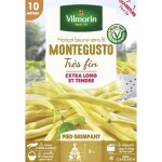 Haricot grimpant beurre monte gusto - 10 m vilmorin