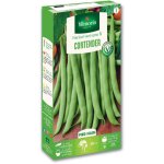 Haricot nain vert contender vilmorin