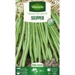 Haricot nain vert skipper vilmorin Haricot nain vert skipper vilmorin