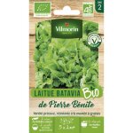 Laitue batavia de pierre b�nite - bio vilmorin