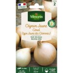 Oignon cnol (type jaune des cvennes) vilmorin