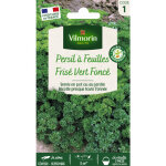 Persil fris� vert fonc� vilmorin