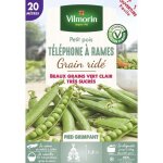 Pois grimpant � grain rid� t�l�phone � rames - 20 m vilmorin