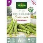 Pois grimpant  grain rond serpette guilloteaux - 10 m vilmorin