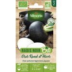 Radis noir gros rond d'hiver - bio vilmorin