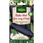 Radis noir long d'hiver - l�gumes d'autrefois vilmorin