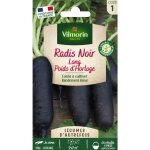 Radis noir long poids d'horloge - légumes d'autrefois vilmorin Radis noir long poids d'horloge - légumes d'autrefois vilmorin