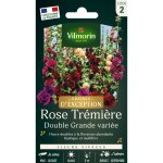 Rose trémière double grande variée - graines d'exception vilmorin Rose trémière double grande variée - graines d'exception vilmorin