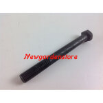 Vis lame boulon tracteur tondeuse 3 / 8  100 mm universel 170250
