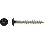 Vis penture 4. 5x35 torx t20 inox a4 ral7021 - 30 pi�ces