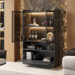 Vitrine en verre, noir mat, 120 cm de haut, avec �clairage led (16 couleurs), portes en verre et porte ...