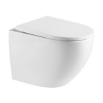 Swiss aqua technologies - wc suspendu sans bride et fixations invisibles, abattant frein de chute (sat67010rre ...